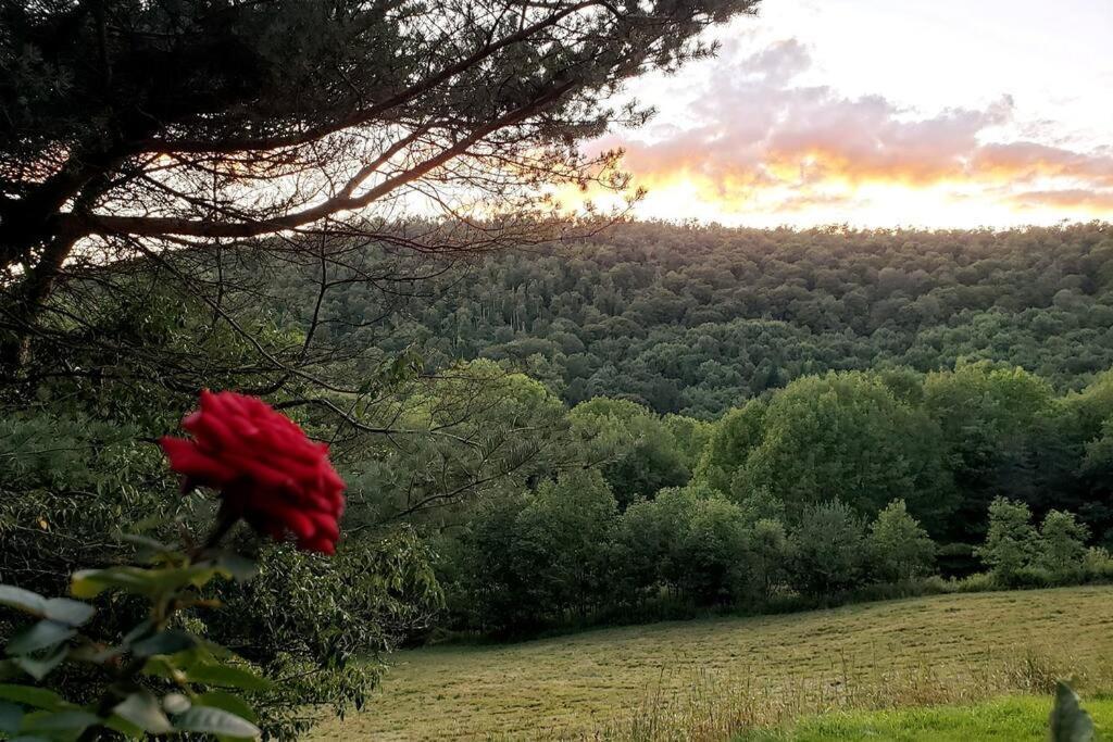 Breathtaking Views. Hot Tub. Huge Deck. Fast Wifi Villa Andes Екстериор снимка